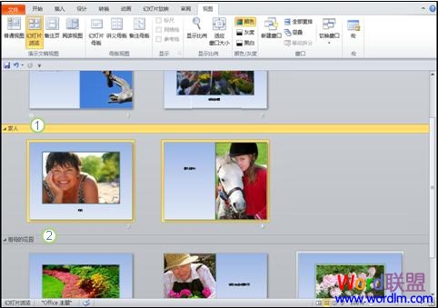 将PowerPoint2010幻灯片组织为逻辑节